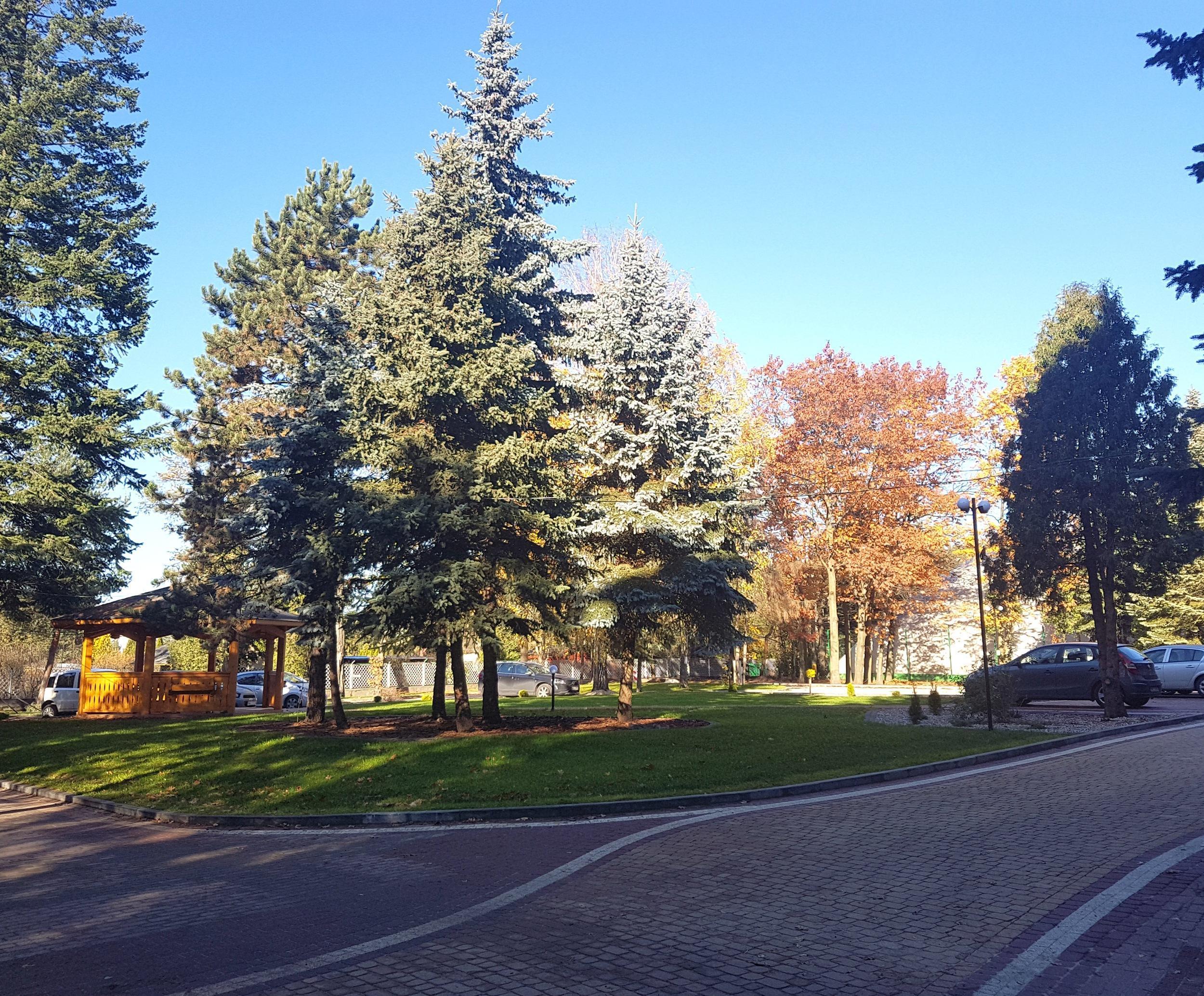 Park ze świerkami wokół Centrum Szkoleniowo-Konferencyjnego w Wawrze